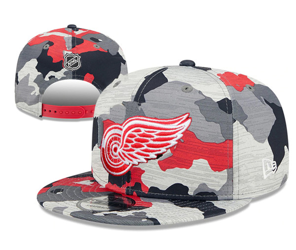 Detroit Red Wings Stitched Snapback Hats 006